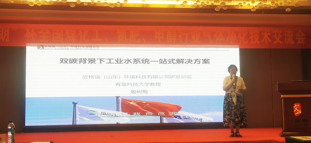 bwin必赢官方网站受邀出席“2023天下煤化工、氮肥、甲醇行业气体净化手艺交流会”