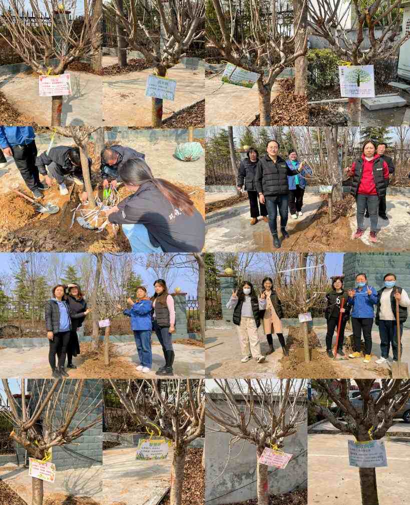 植树节.jpg